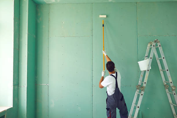 Best Emergency Mold Remediation  in Lawrence, NY