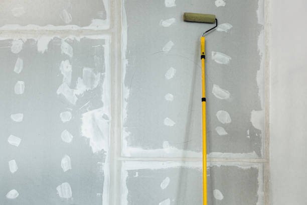 Trusted Lawrence, NY Mold Removal Experts