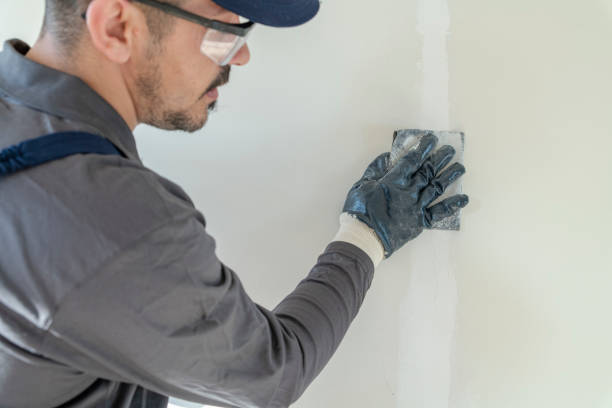 Best Black Mold Removal  in Lawrence, NY
