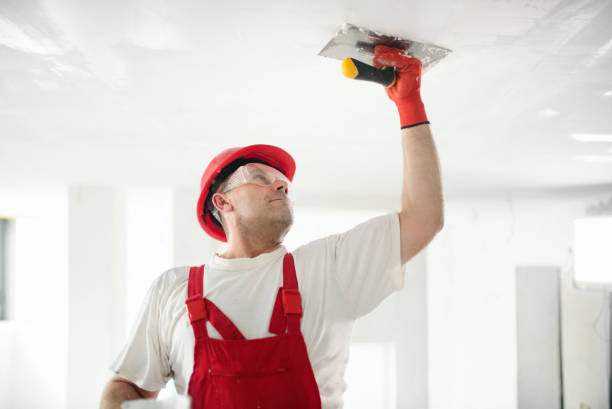 Best Environmental Consulting for Mold Prevention  in Lawrence, NY